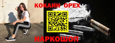 индика Брянск