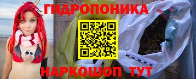 индика Брянск