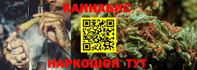 индика Брянск